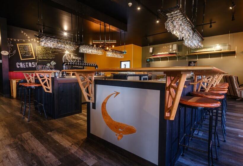 酒店 Microbrasserie La Baleine Endiablée