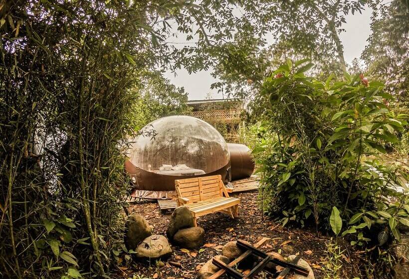 فندق Mindo Glambird Glamping & Lodge