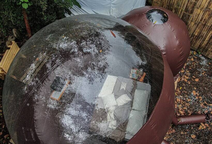 فندق Mindo Glambird Glamping & Lodge