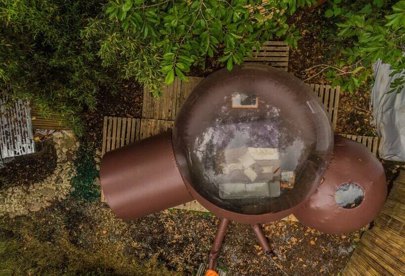 فندق Mindo Glambird Glamping & Lodge