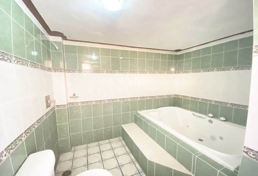 Отель Mirador Amealco