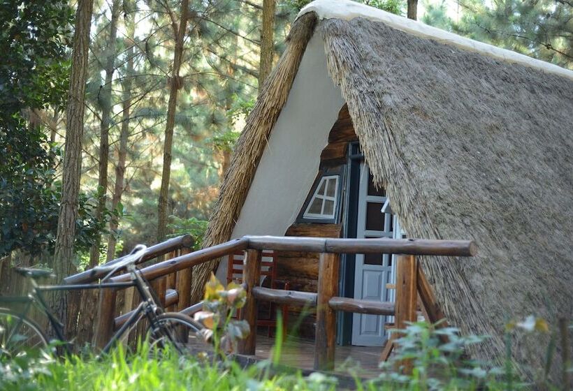 هتل Nyungu Yamawe Forest Park