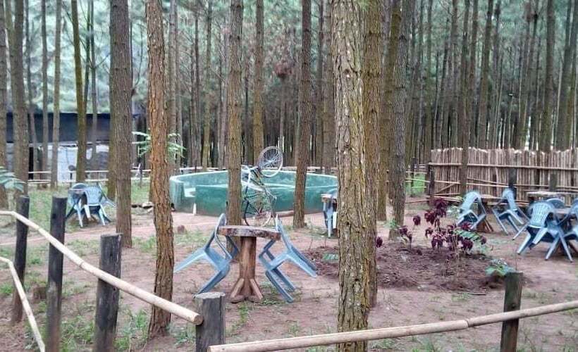 هتل Nyungu Yamawe Forest Park