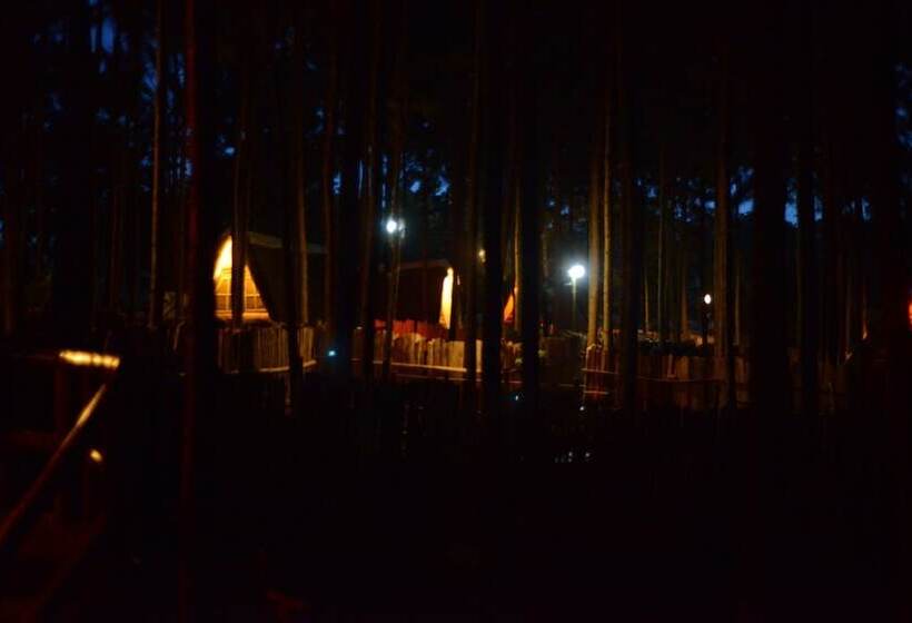 هتل Nyungu Yamawe Forest Park