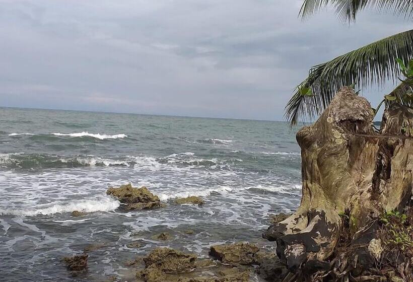 ホテル Ocean View Cahuita