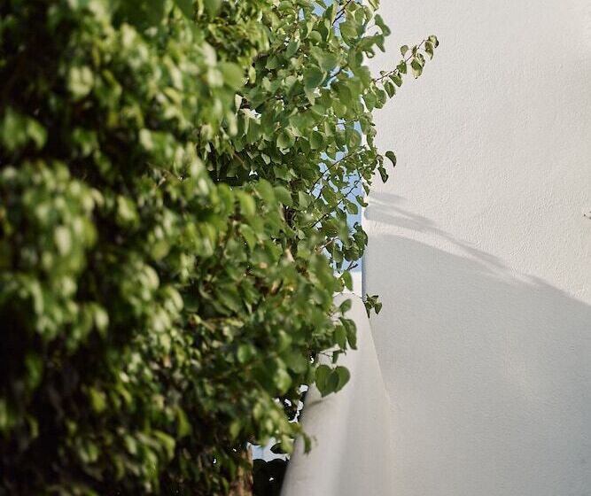 בית מלון כפרי Paolas τown Boutique