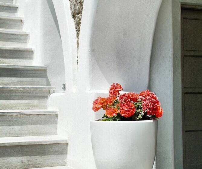 בית מלון כפרי Paolas τown Boutique