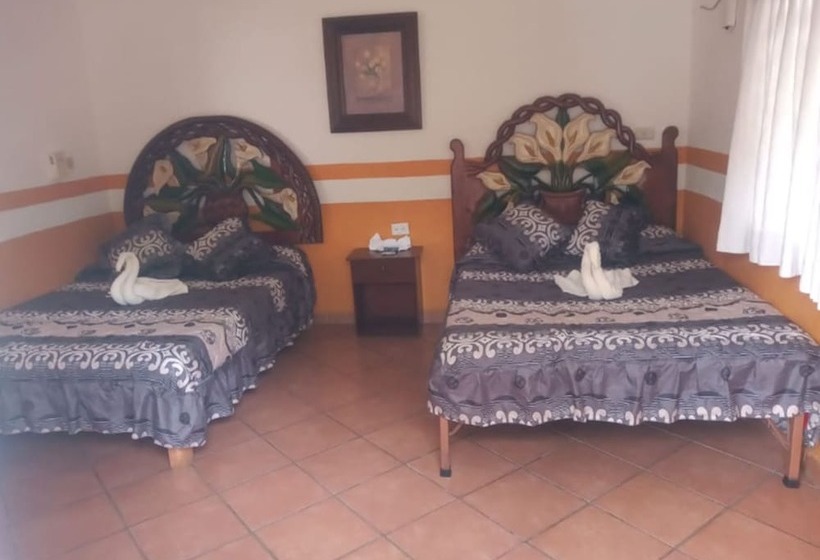 Отель Posada Villa Del Carmen