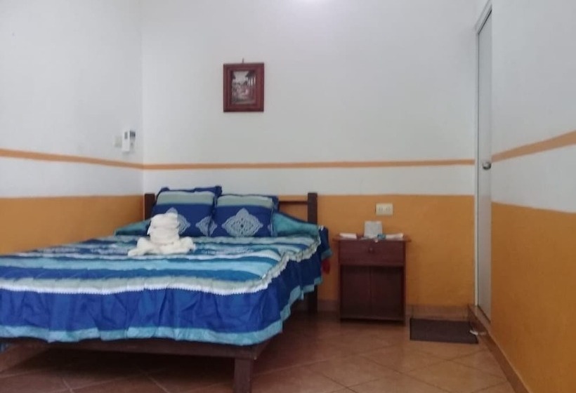 Отель Posada Villa Del Carmen