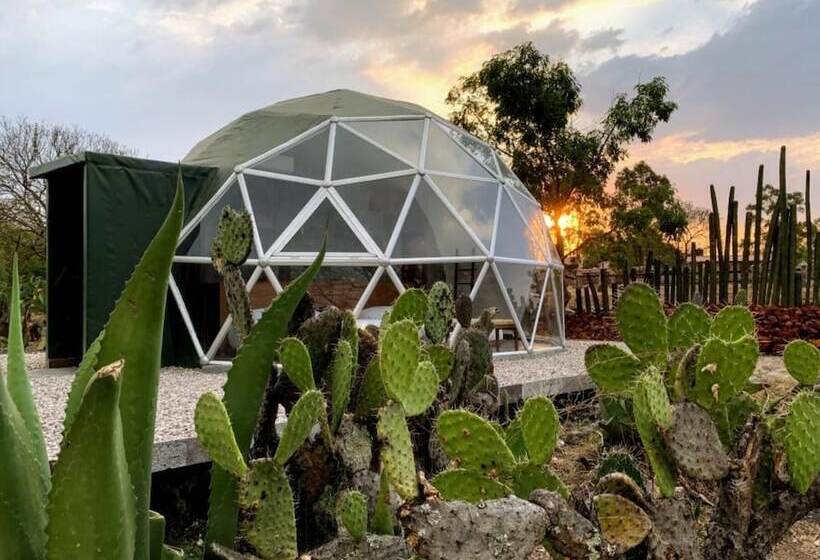 فندق Raices Glamping