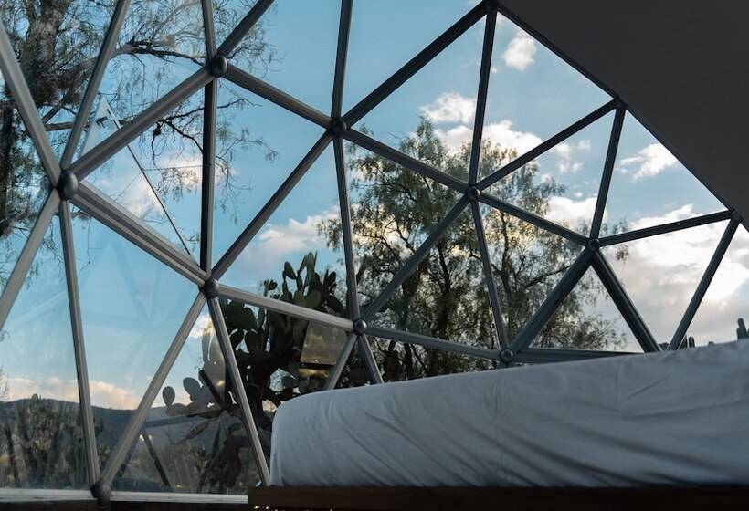 فندق Raices Glamping