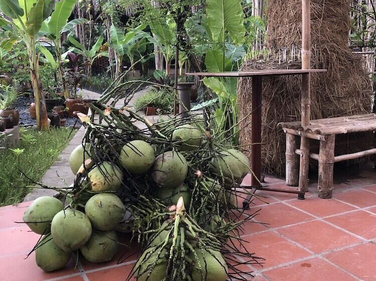 هتل روستایی Bau Bi Mini Farmstay  Mekong  Tien Giang