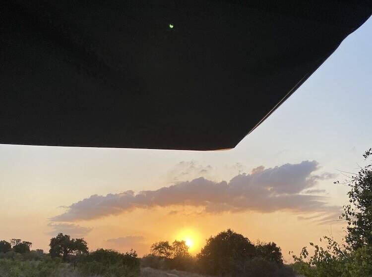 فندق Saadani Safari Lodge   Bush, River, Beach