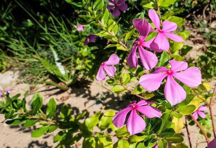 فندق Saadani Safari Lodge   Bush, River, Beach