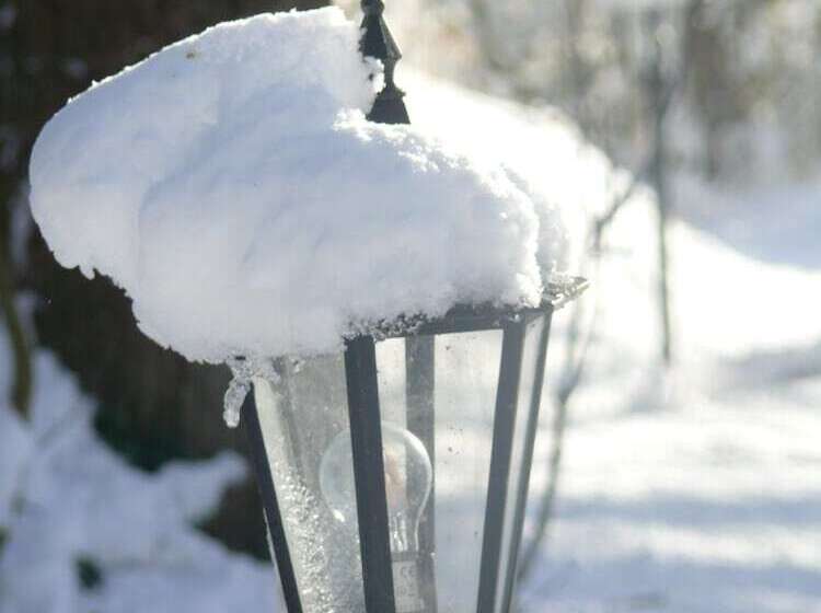 בית מלון כפרי The Motor House