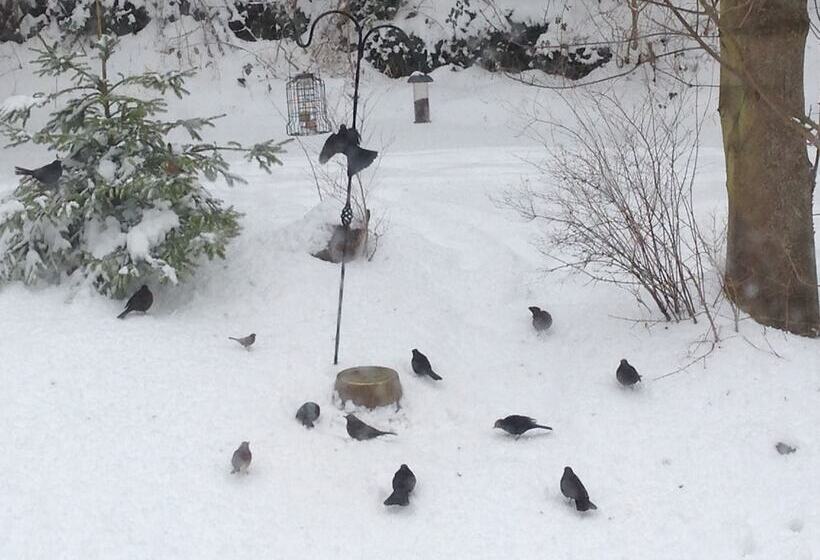 בית מלון כפרי The Motor House