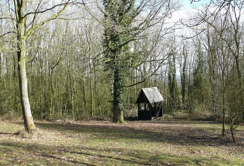 בית מלון כפרי The Motor House