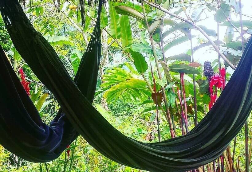 فندق Tropical Biohostel By Rotamundos