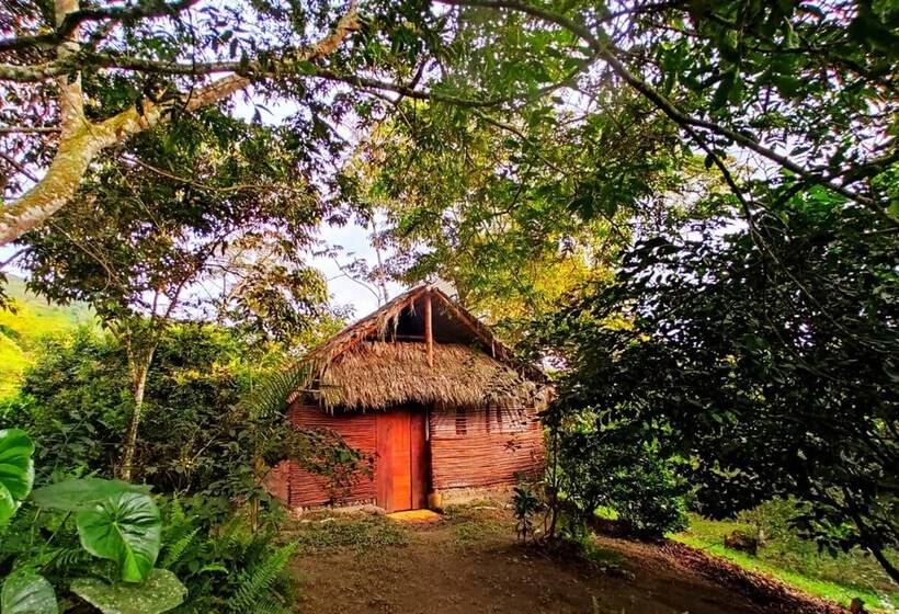 فندق Tropical Biohostel By Rotamundos