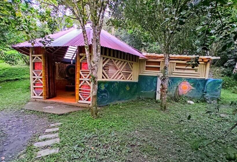 فندق Tropical Biohostel By Rotamundos