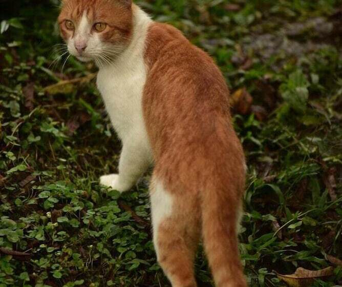 فندق Tropical Biohostel By Rotamundos