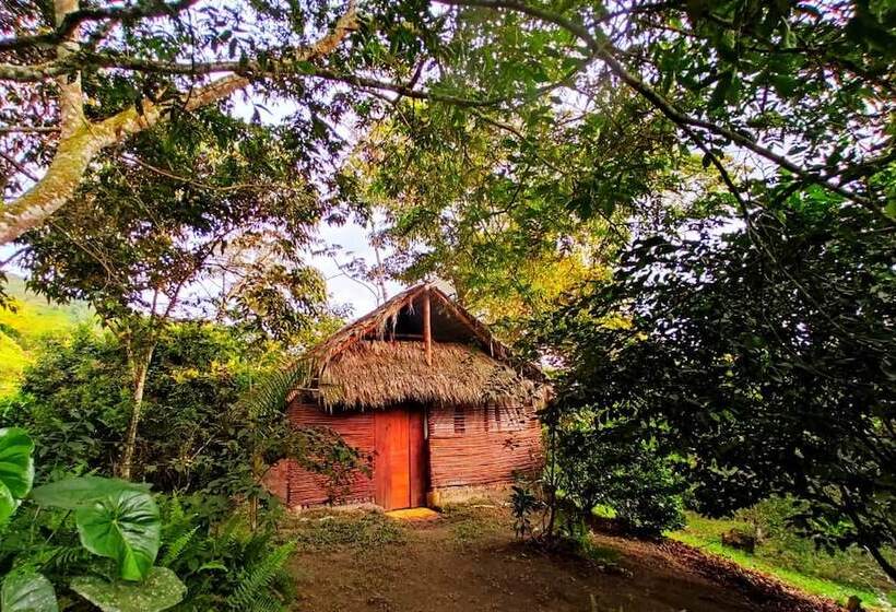 فندق Tropical Biohostel By Rotamundos