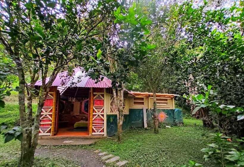 فندق Tropical Biohostel By Rotamundos