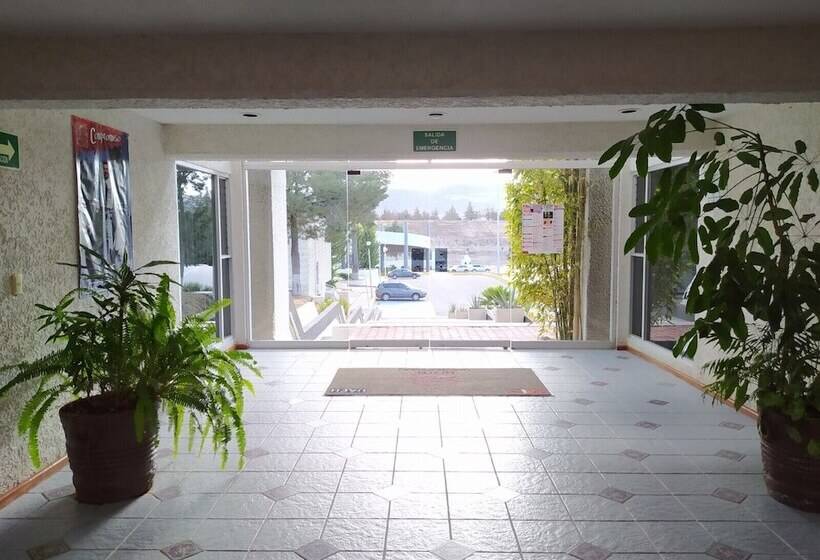 فندق Universitario Uaeh