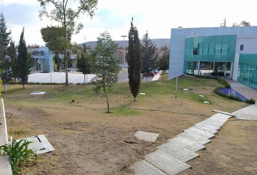 فندق Universitario Uaeh