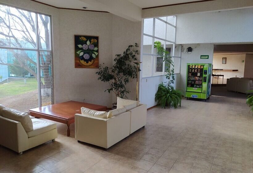 فندق Universitario Uaeh