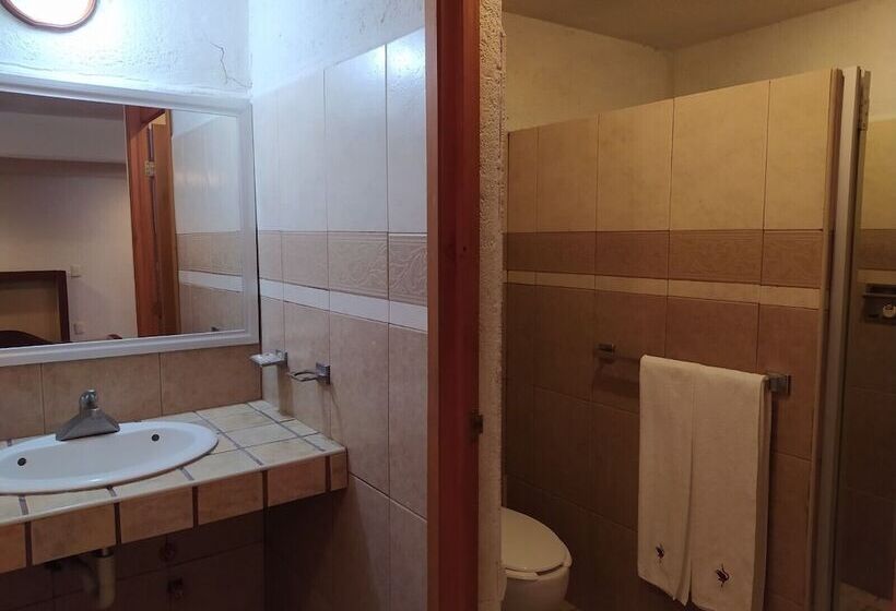 فندق Universitario Uaeh