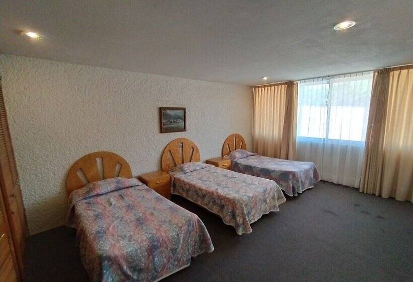 فندق Universitario Uaeh