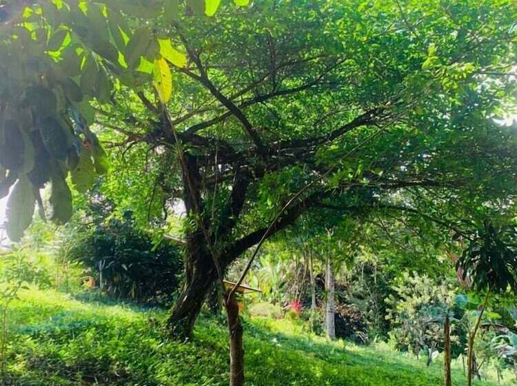 فندق Villa Rodeo Lodge