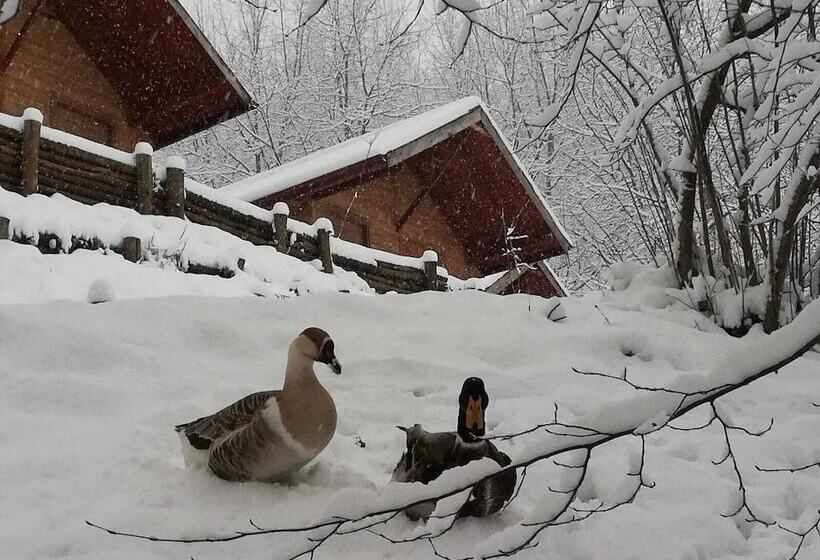 فندق Yesil Dus Vadisi Bungalow Restoran