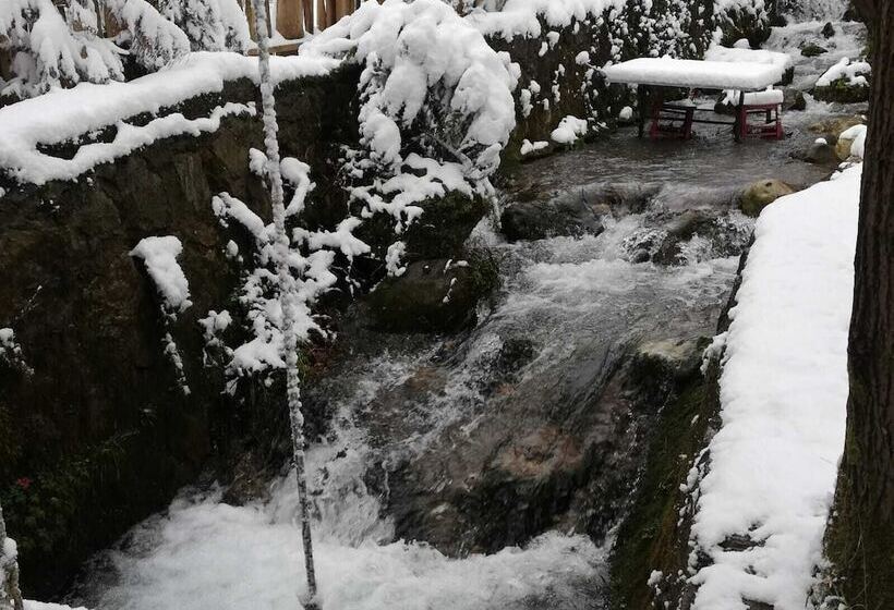 هتل Yesil Dus Vadisi Bungalow Restoran