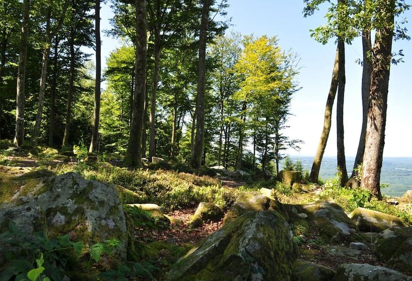 بنسيون A L Orée Du Bois