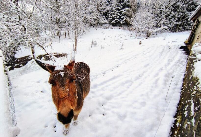 بنسيون A L Orée Du Bois