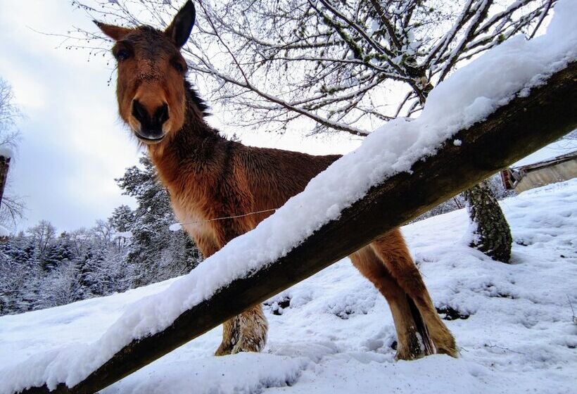 بنسيون A L Orée Du Bois