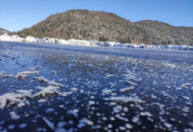 بنسيون A L Orée Du Bois