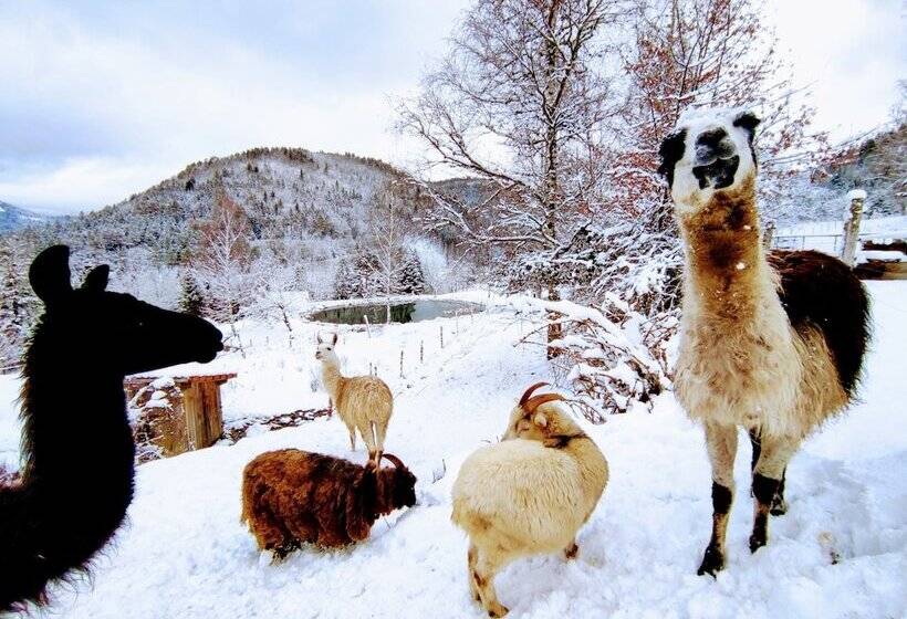بنسيون A L Orée Du Bois