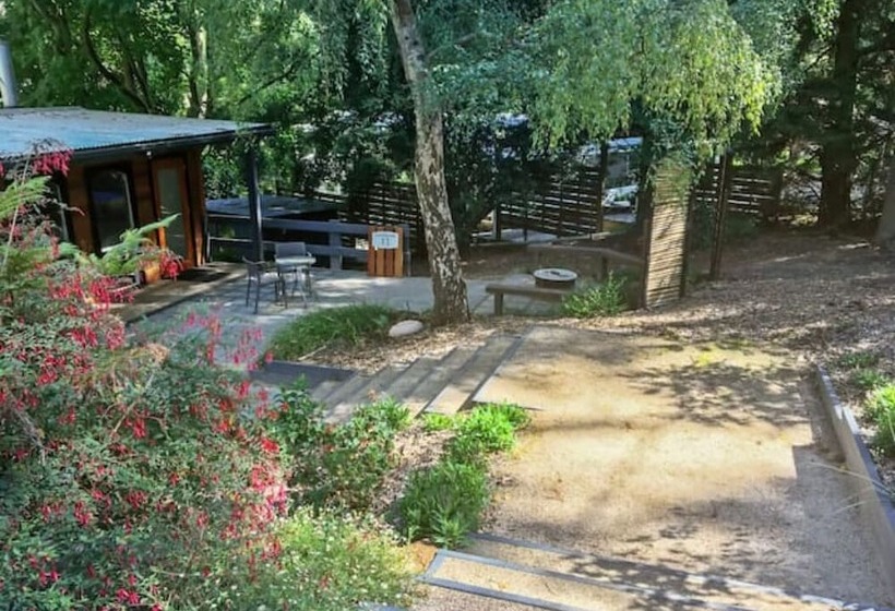 بنسيون Bluefin Tuna Fishermen Whale Watching