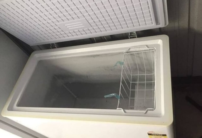 بنسيون Bluefin Tuna Fishermen Whale Watching