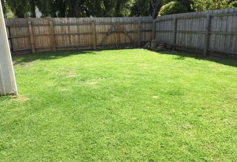 بنسيون Bluefin Tuna Fishermen Whale Watching