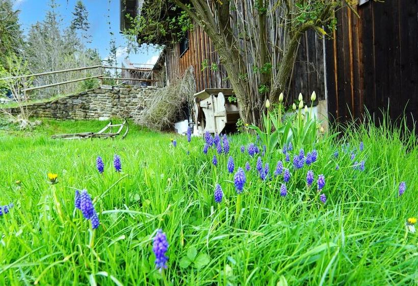 Пансион Feriengut Zum Fürst´n