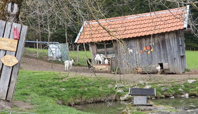 Пансион Feriengut Zum Fürst´n