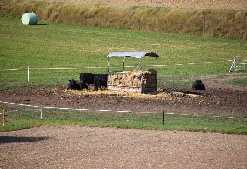 פנסיון Ferienwohnung Waldblick