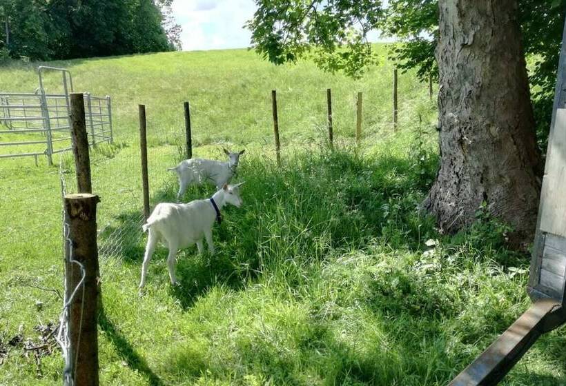 بنسيون Haus Am See