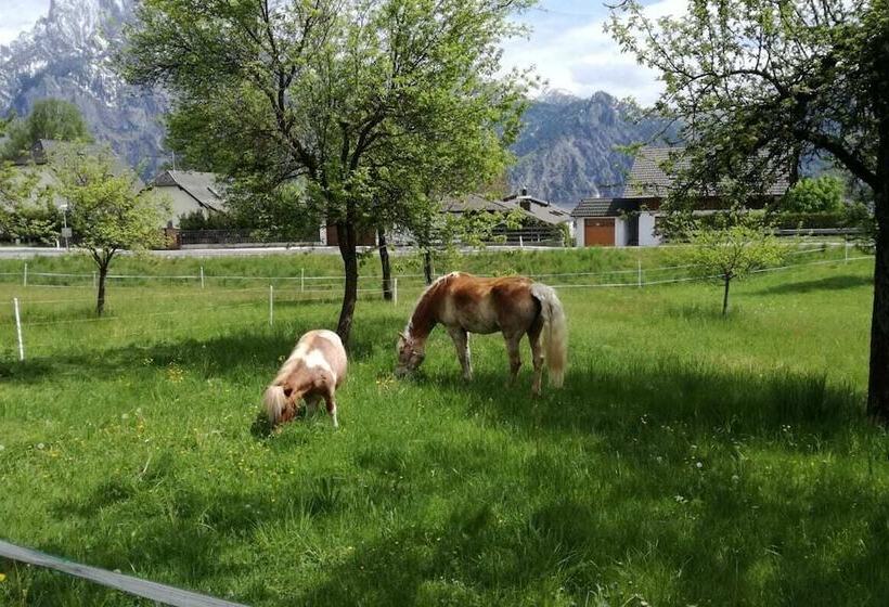 بنسيون Haus Am See