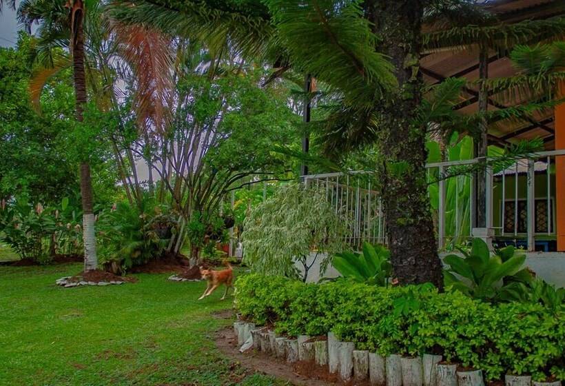 پانسیون Los Palmares Hostel