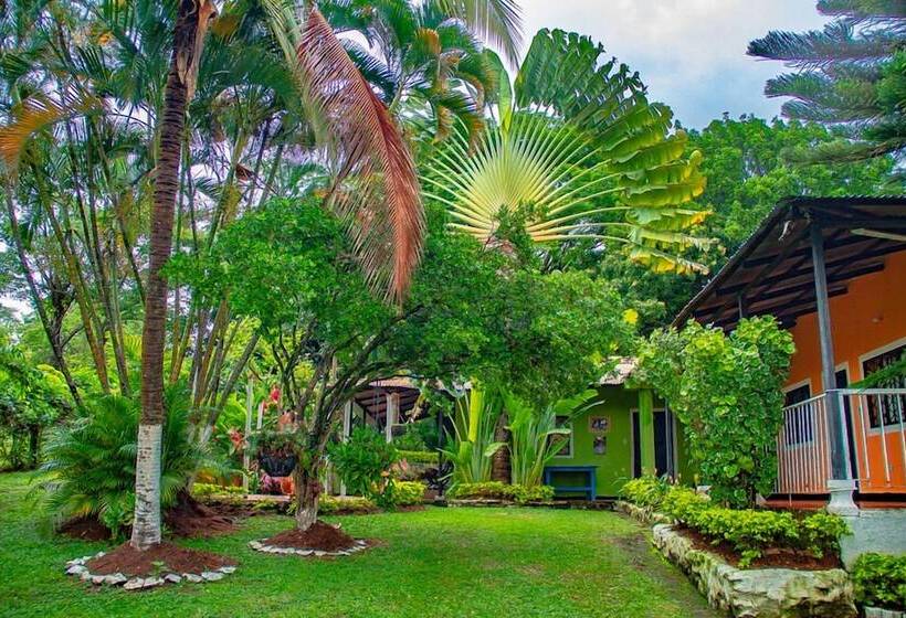 פנסיון Los Palmares Hostel